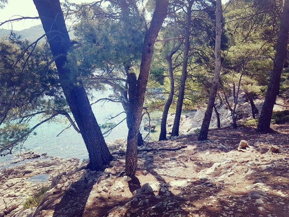 Hanas Dream Places Zaton  Bagian luar foto