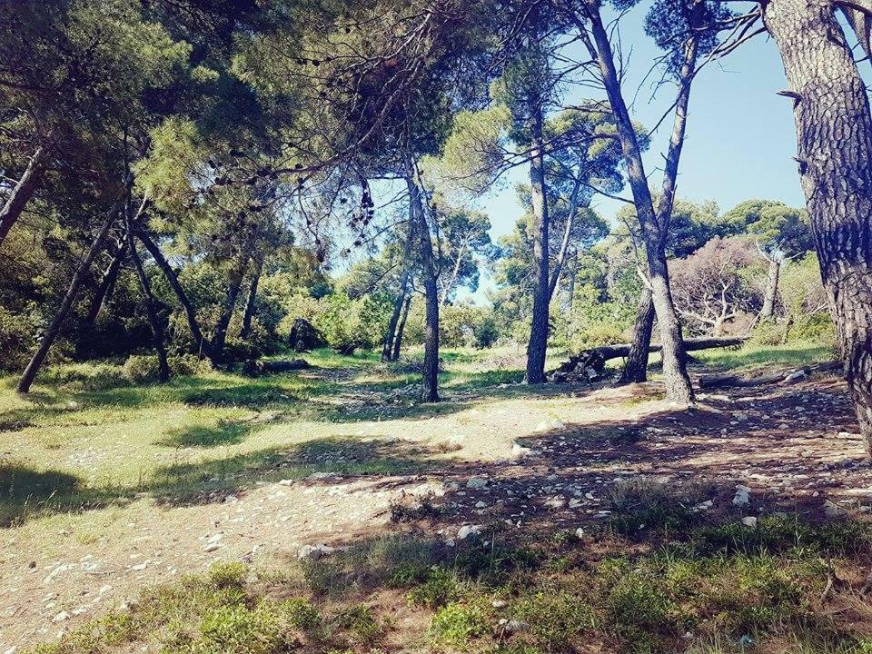 Hanas Dream Places Zaton  Bagian luar foto